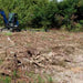 Blue Diamond Excavator Root Rake in Field