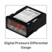 helical pier drive head	Digga Pressure Differential Gauge