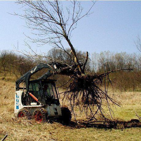 stump puller	in action