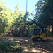 tree puller skid steer attachment in forest